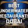 best underwater restaurant in dubai
